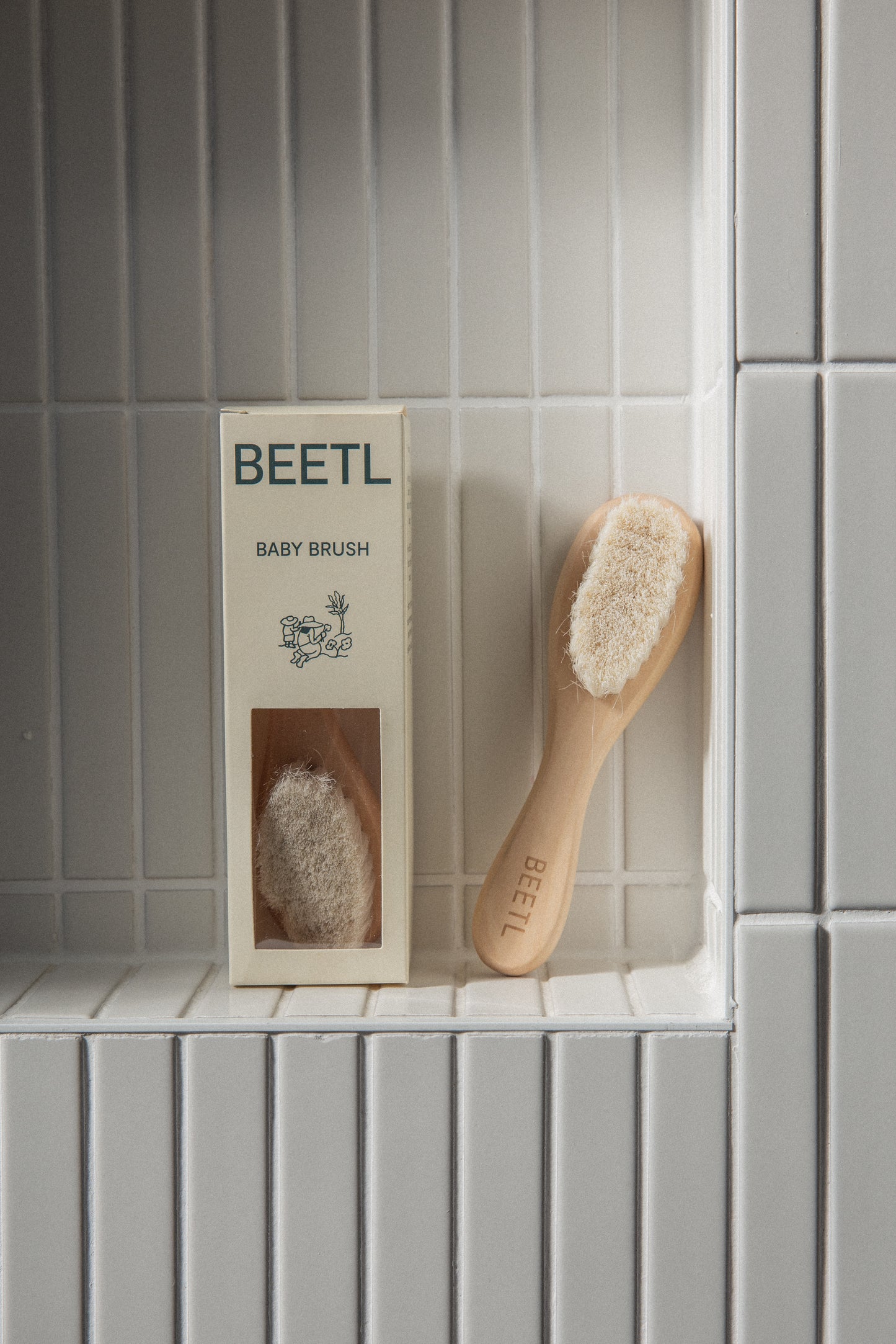 BRUSH IN BOX WHOLESALE