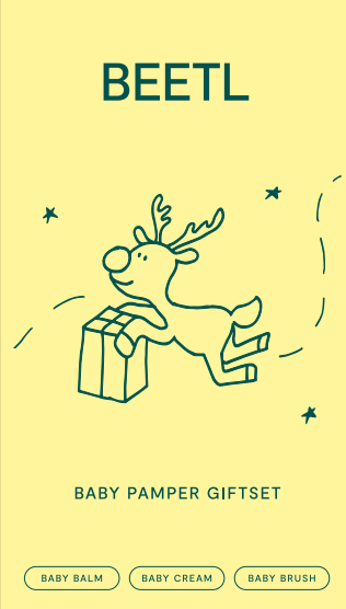Priceline Xmas Giftset Box + Brush Only